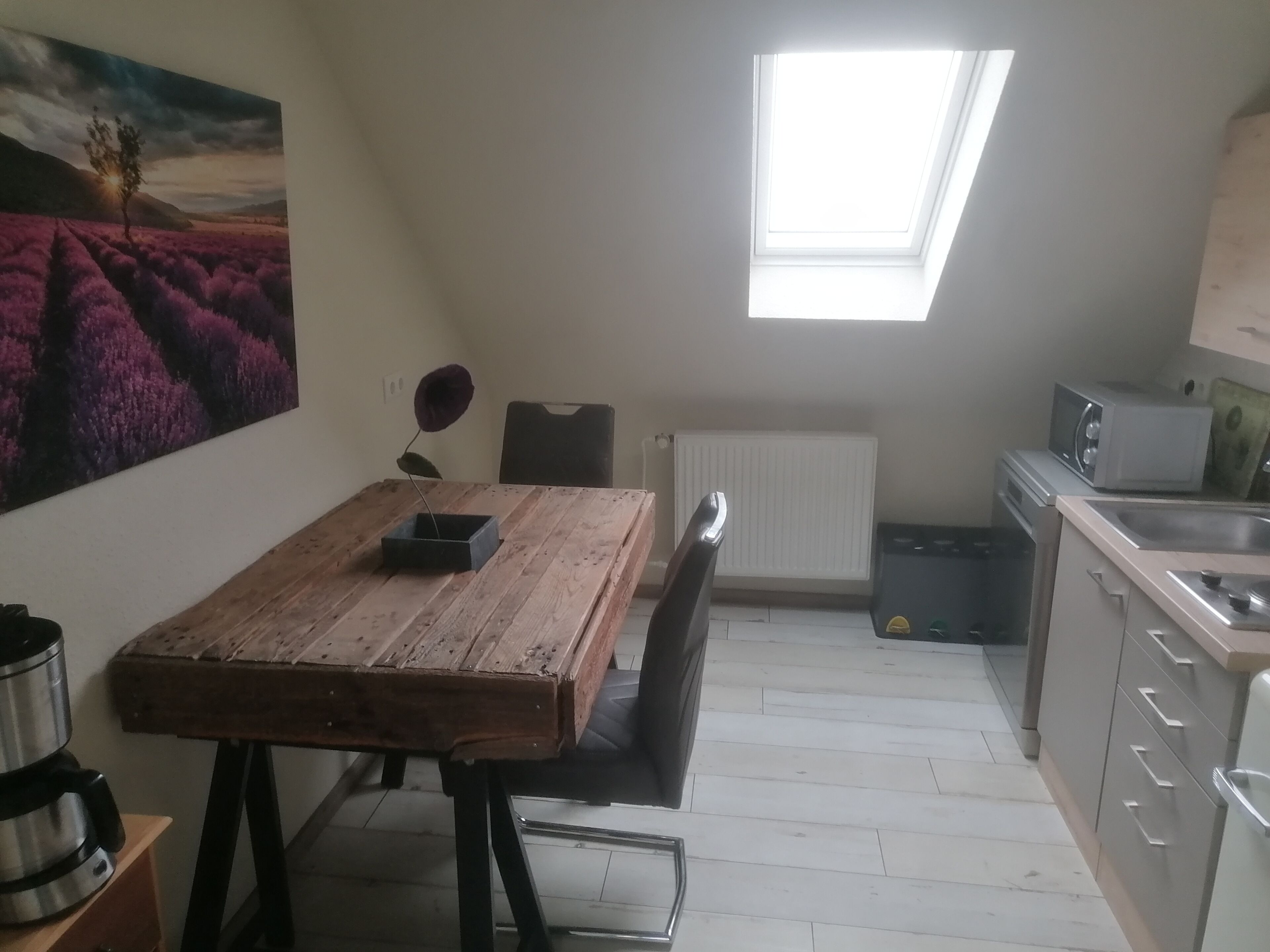 Kühlschrank, Mikrowelle, Herdplatte, Geschirrspüler