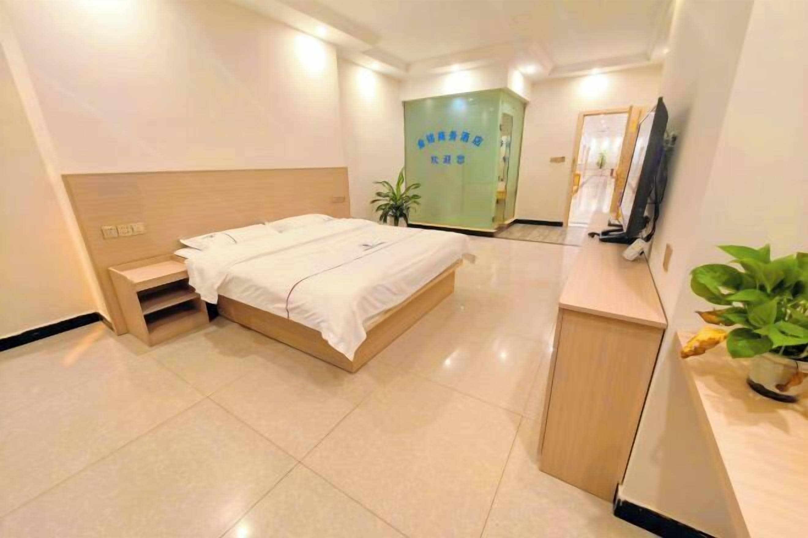 A hotel room with a bed, bedside table, a small cabinet, a TV, and a plant.