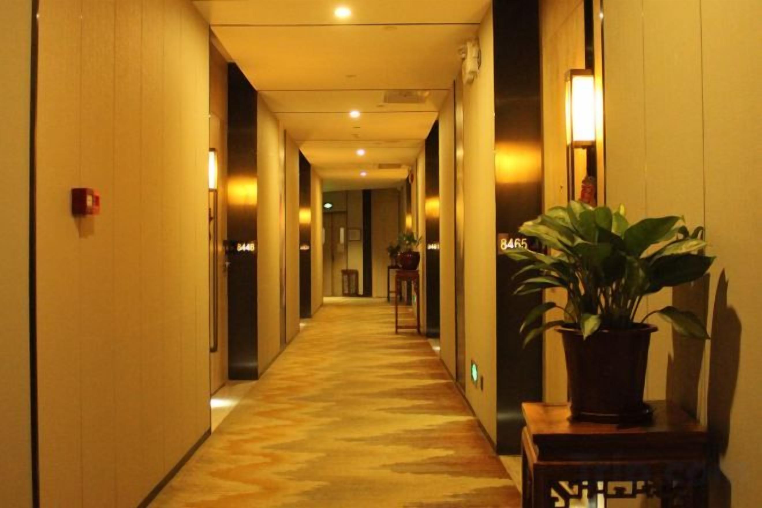 Un pasillo de hotel con piso alfombrado, puertas a ambos lados y una planta en maceta sobre una mesa.