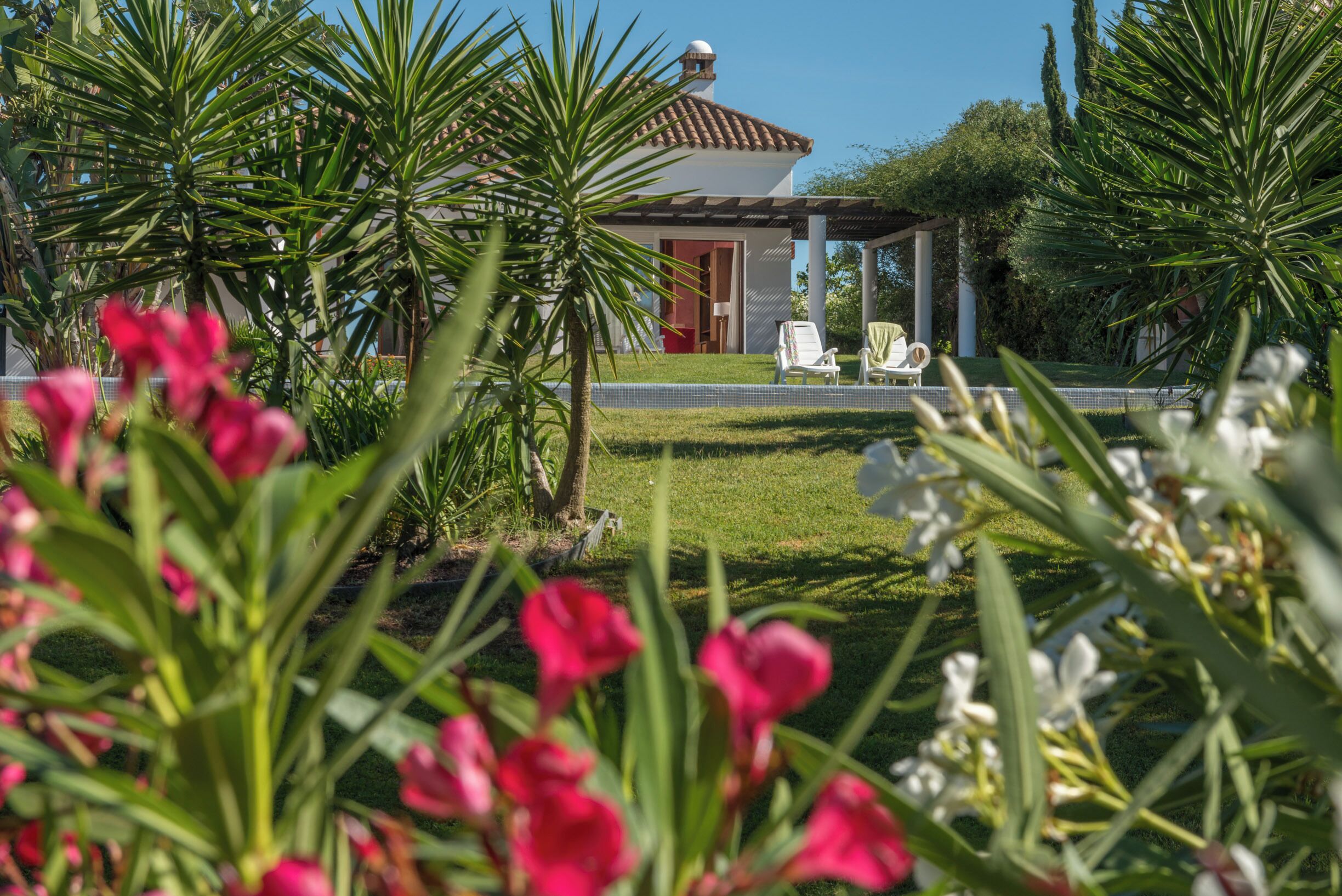 Jardines del alojamiento