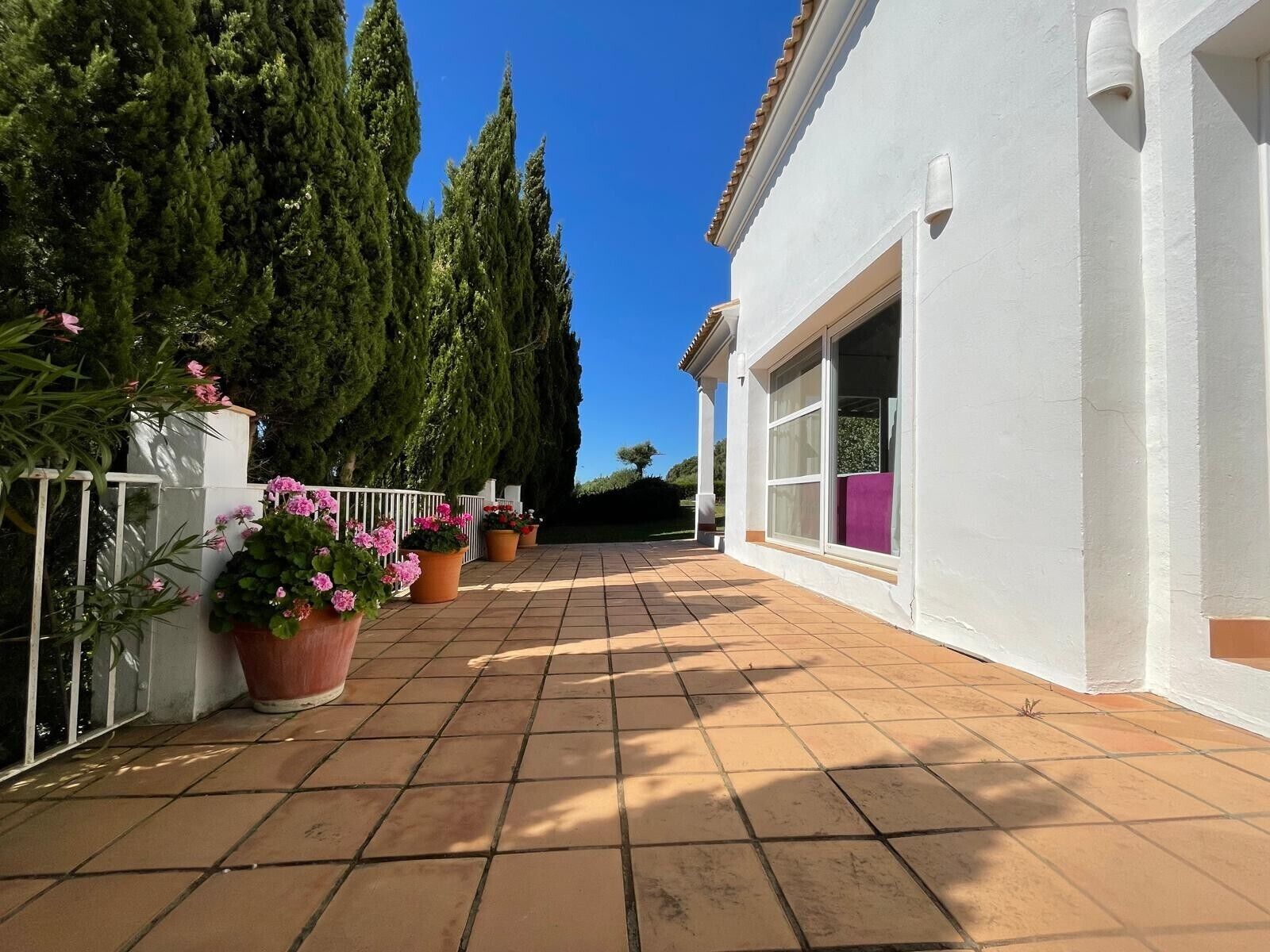 A corridor with potted plants, a white building, and a clear blue sky.