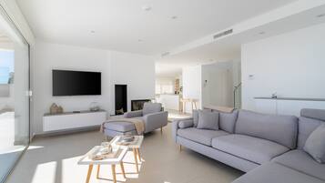 TV, fireplace