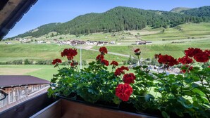 A balcony with red flowers, a view of a village, and green hills in the background. - Apartment "Rieglhof Hennennest" with Mountain View, Garden & Wi-Fi (Graun im Vinschgau)