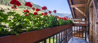 Apartamento "Rieglhof Hennennest" con vistas a la montaña, jardín y Wi-Fi