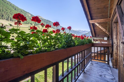 Apartment "Rieglhof Hennennest" with Mountain View, Garden & Wi-Fi