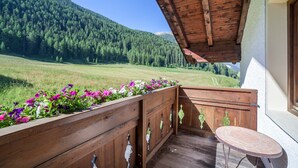 A wooden balcony with a view of a green field and forested mountains. - Apartment "Rieglhof Hennennest" with Mountain View, Garden & Wi-Fi (Graun im Vinschgau)