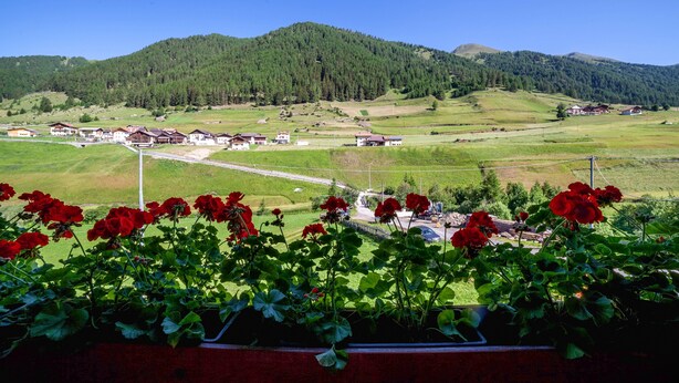 A rural landscape with houses, a road, and a mountain in the background.