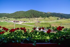 A rural landscape with houses, a road, and a mountain in the background.