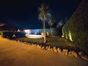 A well-lit outdoor area with a pool, palm trees, and a hedge.