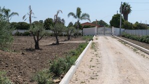 A dirt road leading to a gated area with palm trees and shrubs. - Holiday Home 'Gioberta 1' with Garden, A/C & Wi-Fi (Menfi)