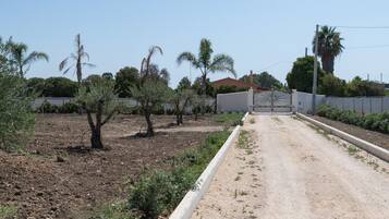 Overnattingsstedets uteområder