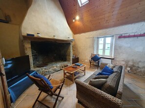 Televisor intel·ligent, llar de foc, llibres i estèreo 