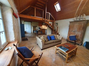 TV connectée, cheminée, livres, chaîne hi-fi