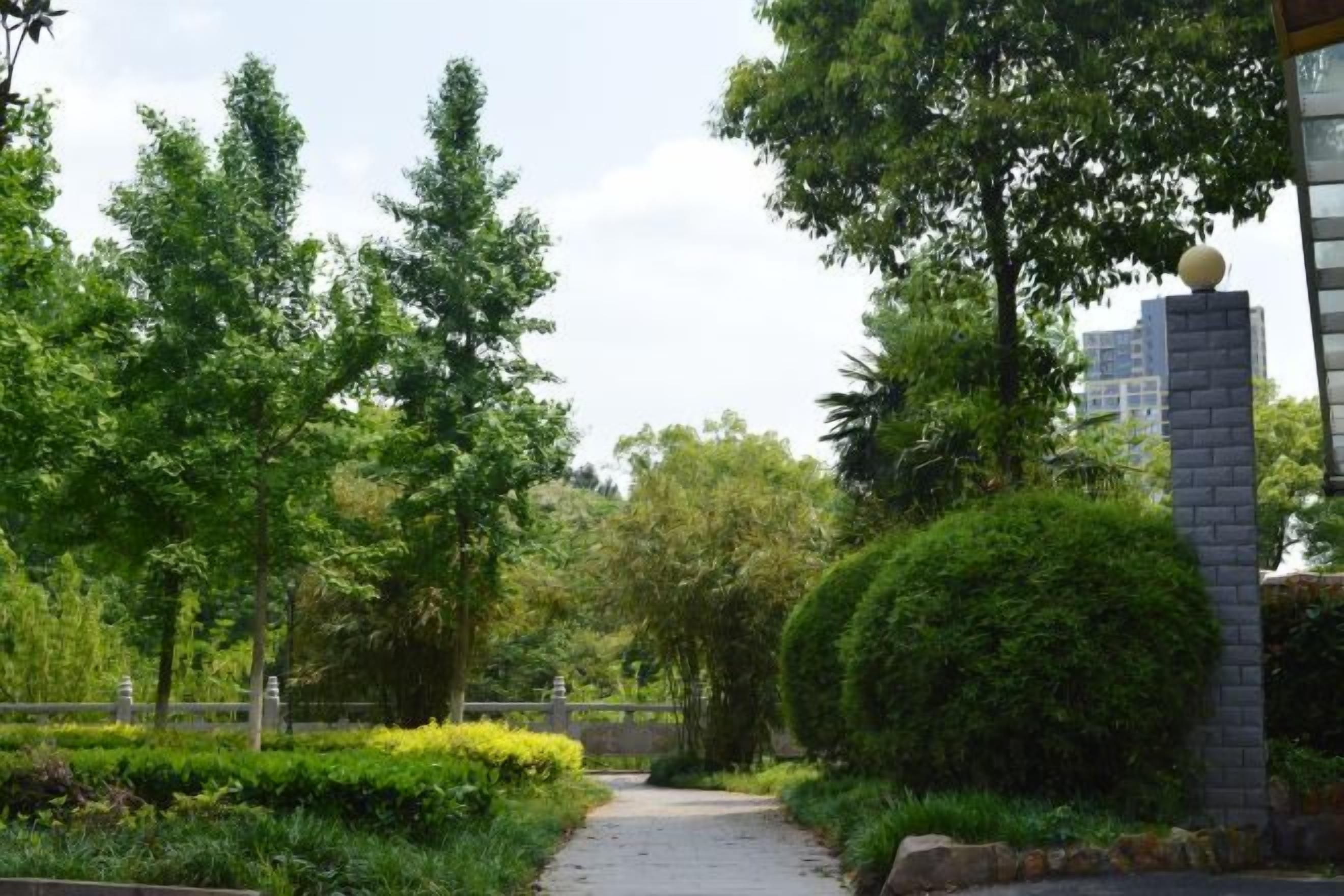 A pathway in a landscaped area with trees and a building structure.