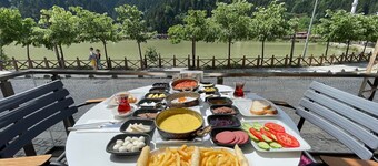 Uzungol Adiloglu Apart