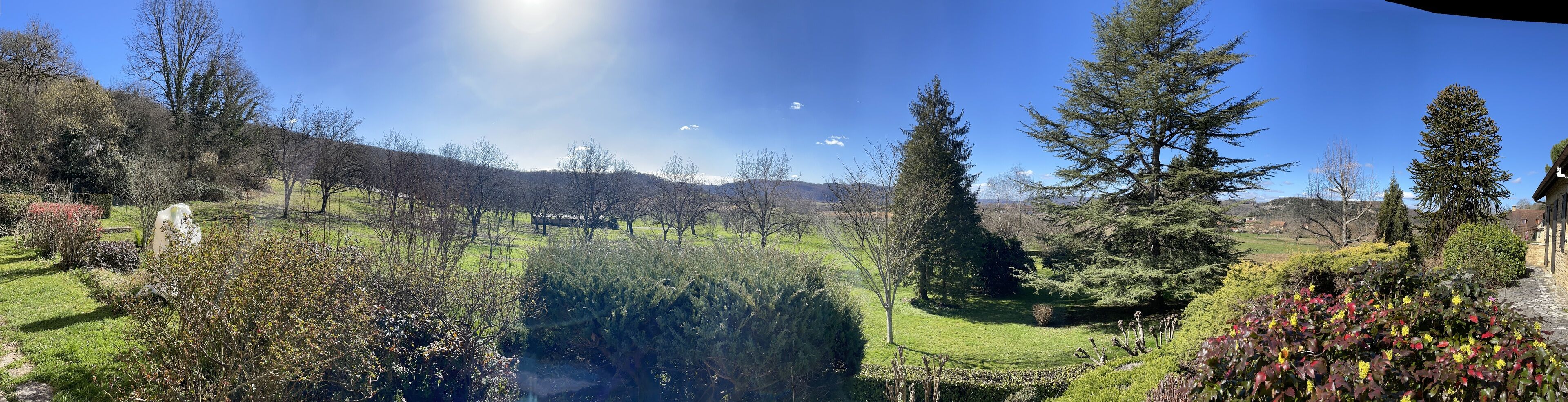 Ein Garten mit Teich, Bäumen und blauem Himmel.