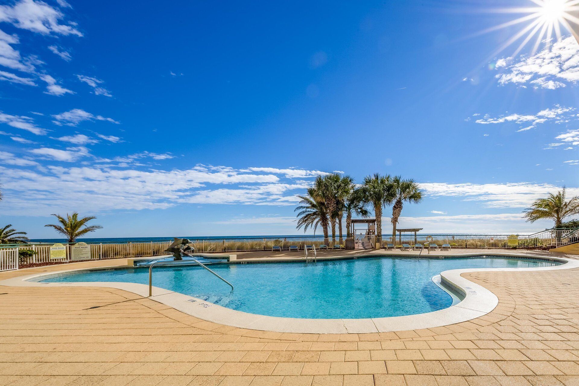 Une piscine à bord incurvé, des palmiers et une vue sur l’océan.