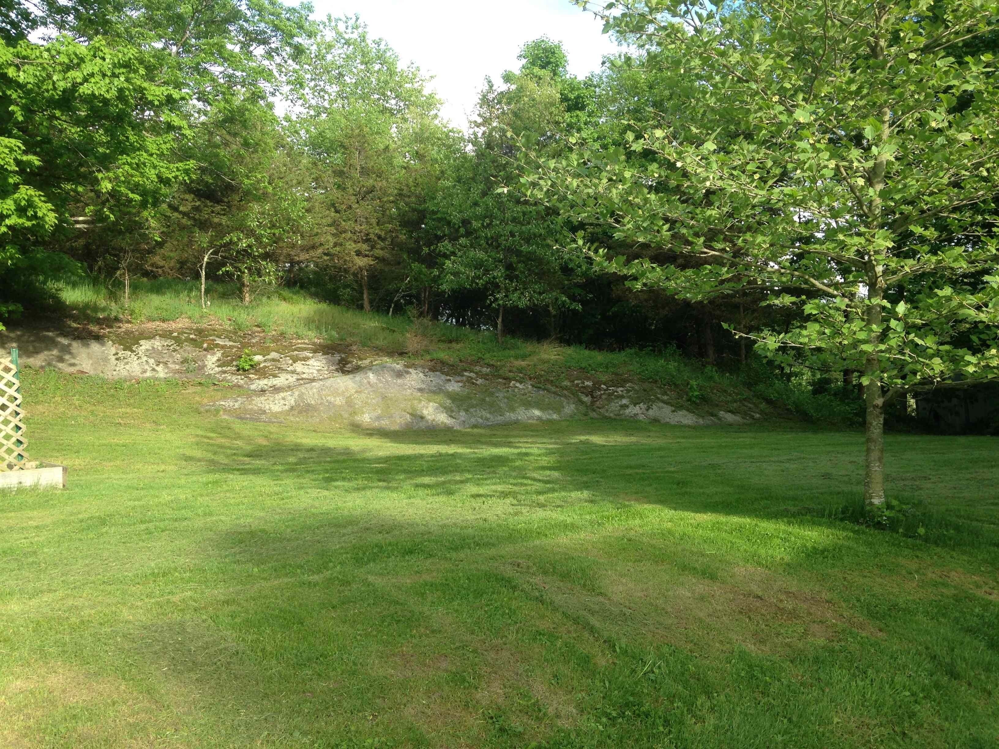 A grassy outdoor area with trees and a stone wall.