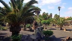 A garden with palm trees, rocks, and a pathway. - Oasis Royal - Beautiful Corralejo Apartment (Corralejo)