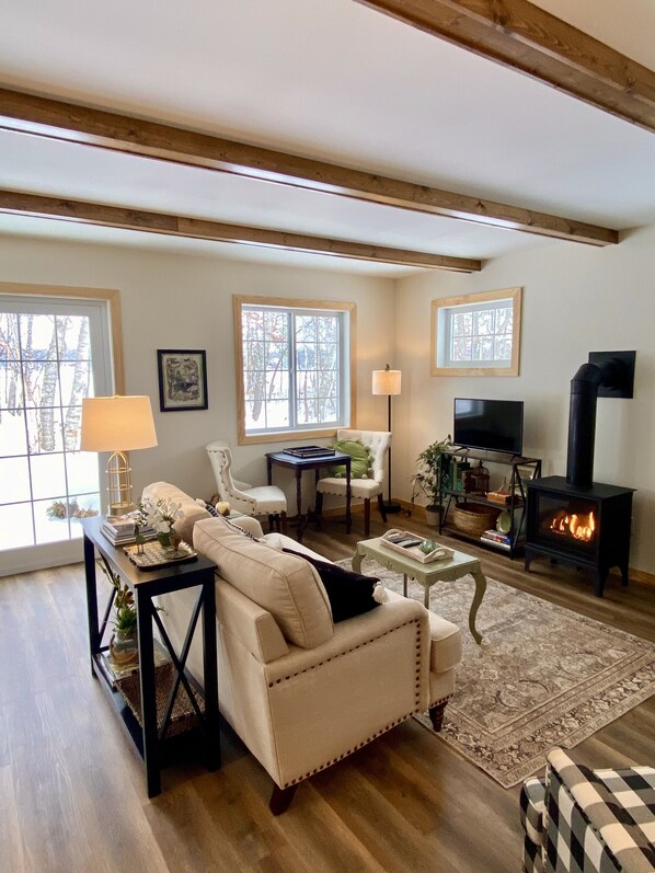 Smart TV, fireplace, books, music library