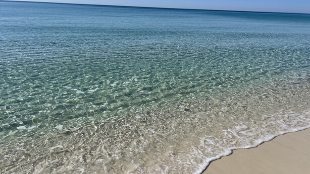 A beach with clear shallow waters and a sandy shore. - Poseidon's Rest | Gulf Front Home | Gorgeous Gulf Views | Dune Walkover (Navarre Beach)