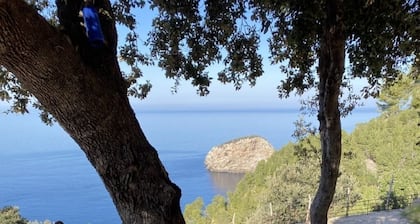 Shelter "Es Mirador" Cami de S'Illeta - Port de Soller