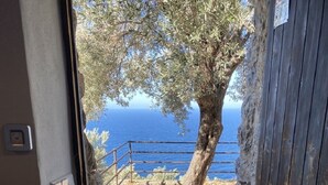 A doorway leading to a terrace with a view of the sea, a tree, and a metal grate on the floor. - Shelter "Es Mirador" Cami de S'Illeta - Port de Soller (Puerto de Sóller)
