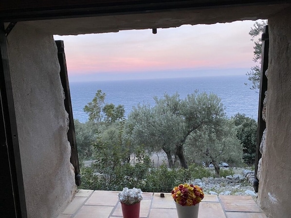 A view from a window overlooking the sea, with a balcony and a vase of flowers.