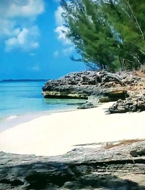 Toallas de playa 