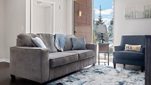 Un salon moderne avec un canapé gris, un fauteuil foncé et un tapis à motifs.