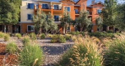 Downtown & Local wineries nearby as well as theme park! Family oriented & patio