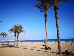 A beach with palm trees, people relaxing, and a clear blue sky. - Allegra Suites Costa Blanca 105 (Ciudad Quesada)
