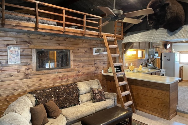 Smart TV, DVD player, books, stereo