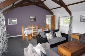 TV connectée, cheminée, jeux vidéo, lecteur de DVD