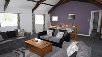 Smart TV, fireplace, video games, DVD player