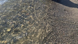 A beach with clear water, a wooden dock, and houses in the background.