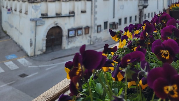 City view - Gasthof Salurn (Salorno)