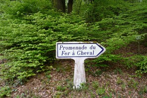 Property grounds - LE BUIS Small character gîte in the Monts d'Arrée mountains (Scrignac)