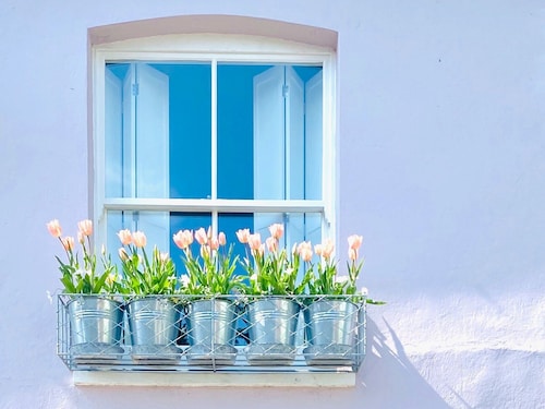 Sea air and starry nights - there's space for two and your four legged friend.