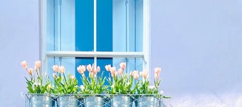 Sea air and starry nights - there's space for two and your four legged friend.