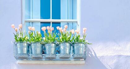 Sea air and starry nights - there's space for two and your four legged friend.