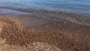 A pebbled beach with clear water, a rocky breakwater, and a distant cityscape.