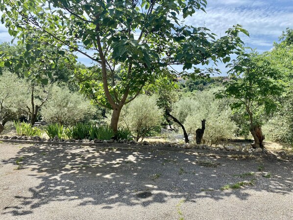 المنطقة المحيطة بالمنشأة