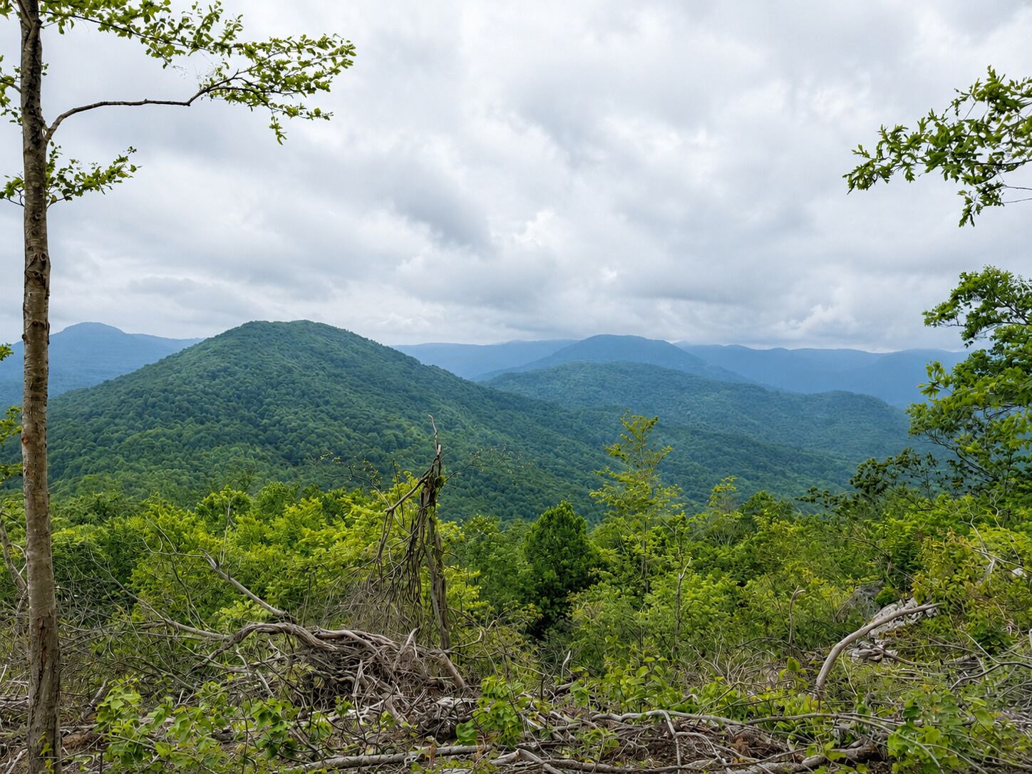 A mountainous landscape with dense green foliage and a cloudy sky.