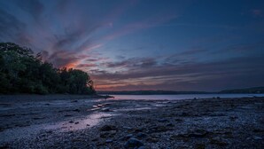 Une plage avec un rivage rocheux et des arbres en arrière-plan.