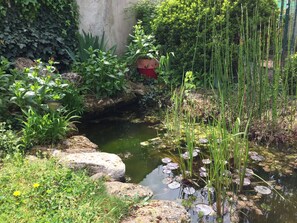Un pequeño estanque rodeado de exuberante vegetación y rocas.