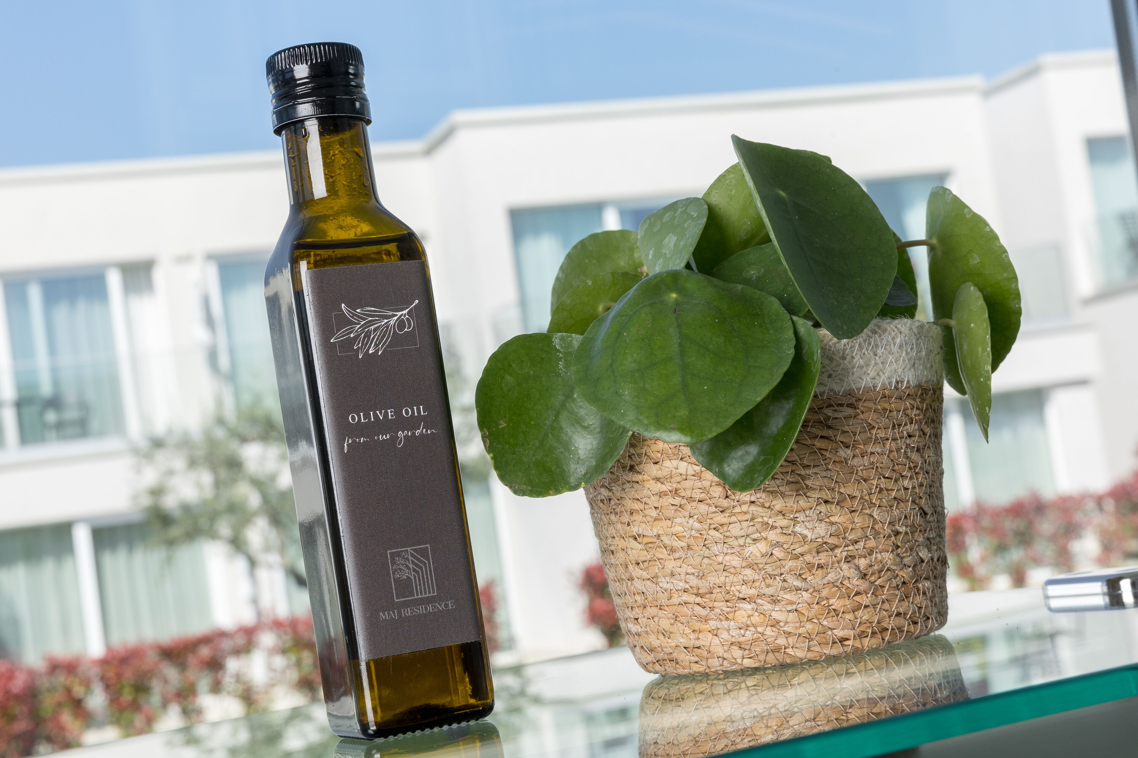 A bottle of olive oil and a potted plant on a glass table with a building in the background.