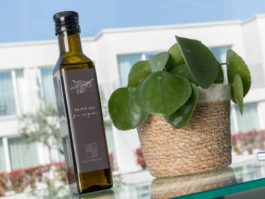 A bottle of olive oil and a potted plant on a glass table with a building in the background.