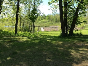 A natural landscape with a grassy area, trees, and a wooden dock extending into a body of water.