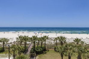 Ein Strand mit Palmen, Sonnenschirmen und blauem Himmel.